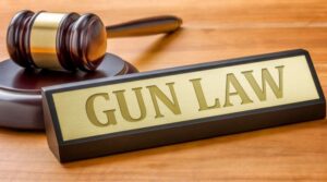 gun-law