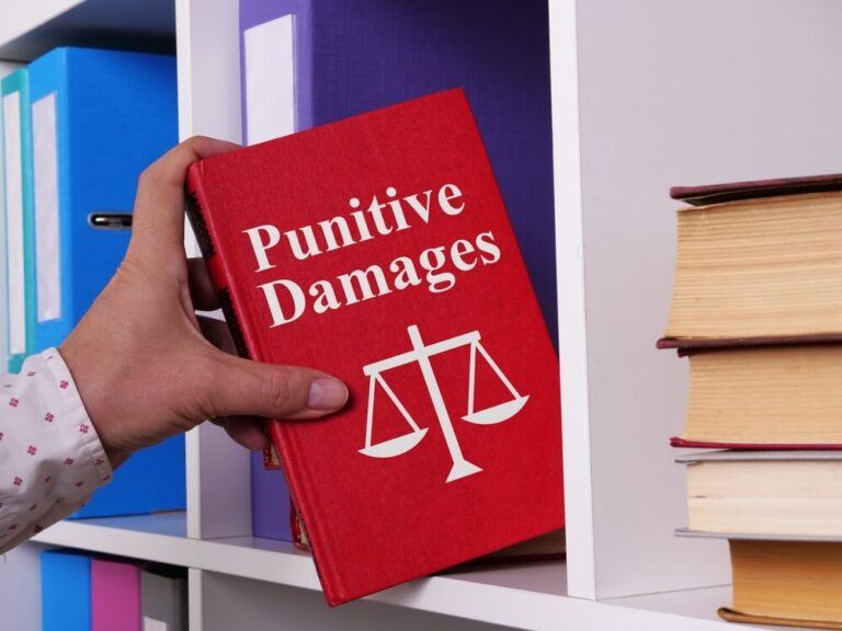 What are punitive damages in Butler Kahn