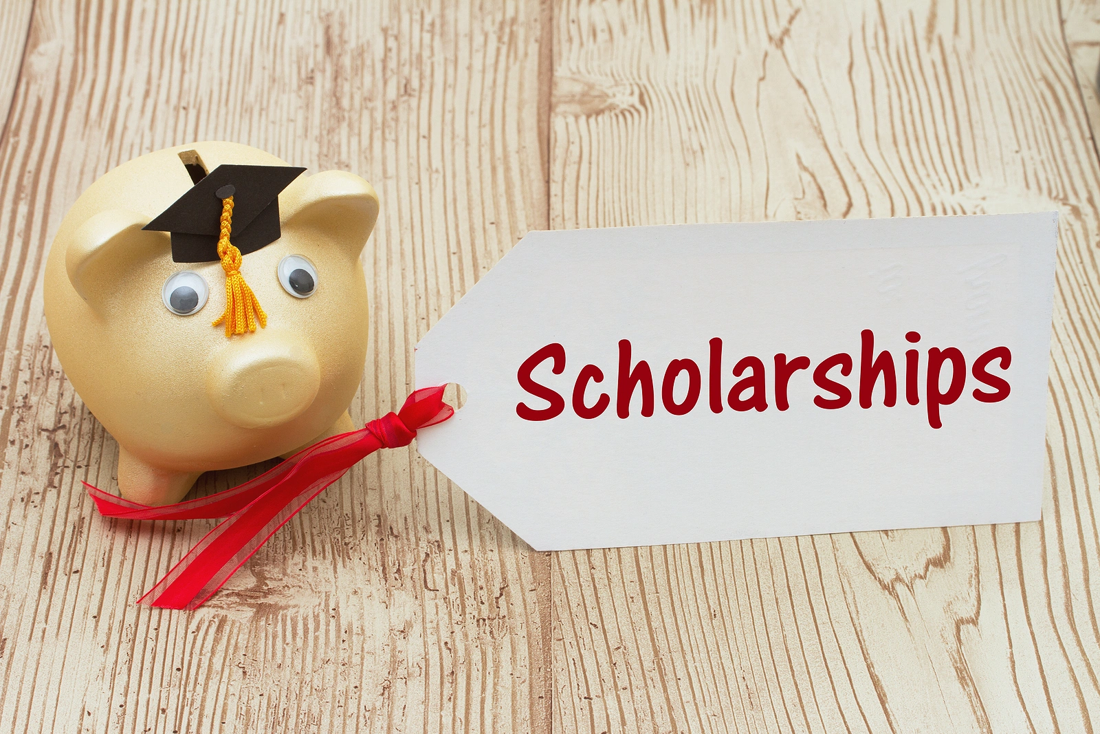 Congratulations to Our 2023 Scholarship Winners