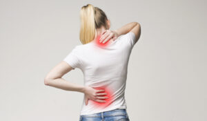 Spinal Cord